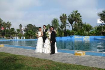 Bodas - 10